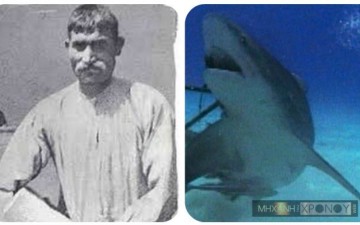 Έλληνες σφουγγαράδες στα σαγόνια του καρχαρία: Το τραγικό τέλος του Καλύμνιου δύτη που έφτασε στη βάρκα μόνο το αριστερό του χέρι...