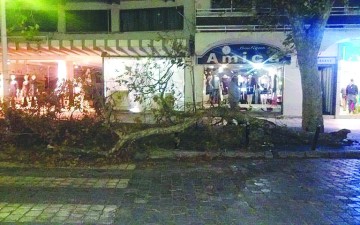 Κατέρρευσε τεράστιος κλώνος στη Ρόδο