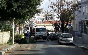 Ξεκίνησαν τα κλαδέματα στη Ρόδο