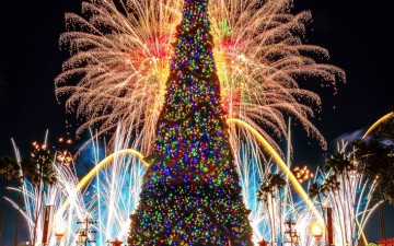 Την Κυριακή το χριστουγεννιάτικο δέντρο στην πλατεία Καλυθιών