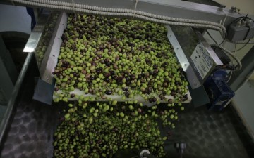 Ανοίγουν τα ελαιοτριβεία της Ρόδου στις 6 Νοεμβρίου