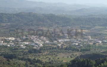 Το «πέταγμα» των Πεταλούδων στα βιοκαύσιμα 