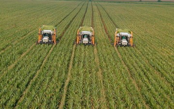 Πόσο φόρο θα πληρώσετε για εισοδήματα από χωράφια στο χωριό