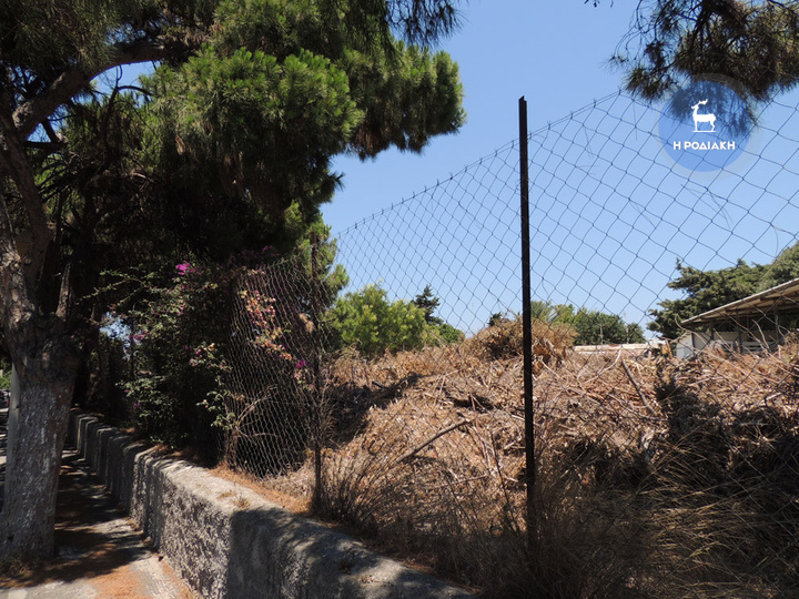 Ο όγκος των ξερών χόρτων είναι τόσο μεγάλος και βρίσκεται σε απόσταση αναπνοής από τα δέντρα του δρόμου
