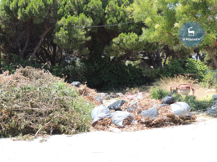 Τεράστιος είναι ο όγκος των ξερών κλαδιών που βρίσκονται σε ακάλυπτο χώρο σε εγκαταστάσεις του δήμου με τον κίνδυνο της πυρκαγιάς να ελοχεύει