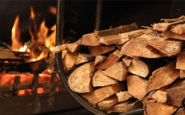Καυσόξυλα μπορούν να κόβουν οι κάτοικοι της Δωδεκανήσου