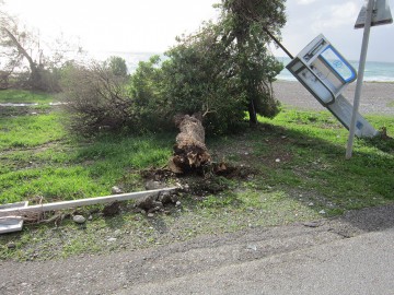Υδροστρόβιλος προκάλεσε ζημιές τα ξημερώματα στο Κιοτάρι (φωτορεπορτάζ)