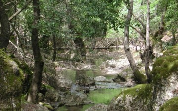 Ηλεκτρονικό εισιτήριο στην Κοιλάδα των Πεταλούδων