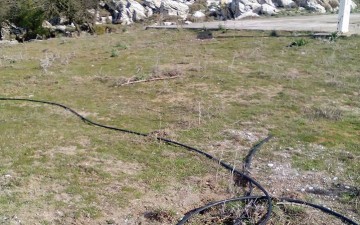 Λήθη και σιωπή στις παιδικές κατασκηνώσεις του Προφήτη Ηλία