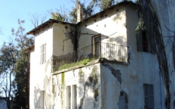 Στο στόχαστρο του δήμου τα  αδέσποτα και ανεπιτήρητα ζώα