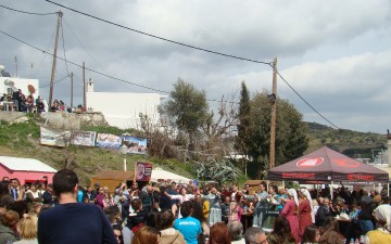 Με επιτυχία η γιορτή  της ελιάς στα Λάερμα