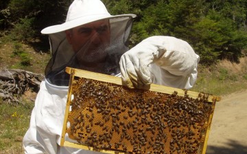 Σεμινάρια  Μελισσοκομίας  στη Ρόδο