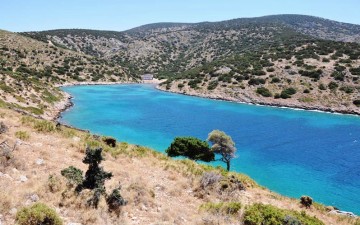Καταφύγιο Θαλάσσιας Ζωής Αιγαίου