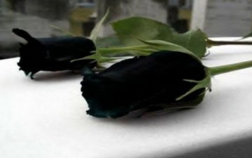 Θρήνος στα Μαριτσά: Απεβίωσε 46χρονος συμπολίτης μας