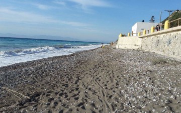 Η Λέσχη Lions καθάρισε την παραλία των Κρητικών