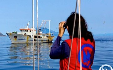 «Ινστιτούτο Αρχιπέλαγος»:  Καθημερινή μάχη για το  θαλάσσιο περιβάλλον στο Αιγαίο