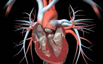 Αίσθημα παλμών: Αθώο σύμπτωμα  ή καρδιακή αρρυθμία;