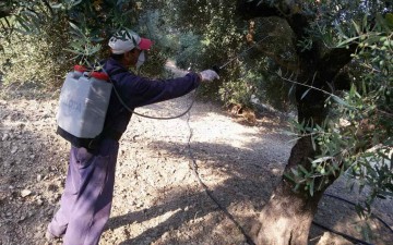 Εγκρίθηκε ο διαγωνισμός δακοκτονίας