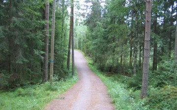 Απαγορεύεται η παραμονή στις δασικές περιοχές της Ρόδου