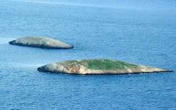 Πρόστιμο 50.000 ευρώ στον πρώην δήμαρχο Καλύμνου γιατί «έστελνε» βοσκό στα Ίμια