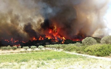 Υψηλός κίνδυνος πυρκαγιάς σήμερα σε όλη την Δωδεκάνησο