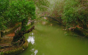 Κλείσιμο τμήματος δρόμου περιμετρικά του πάρκου Ροδινιού