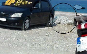 Ξέφραγο αμπέλι οι παραλίες της Ρόδου