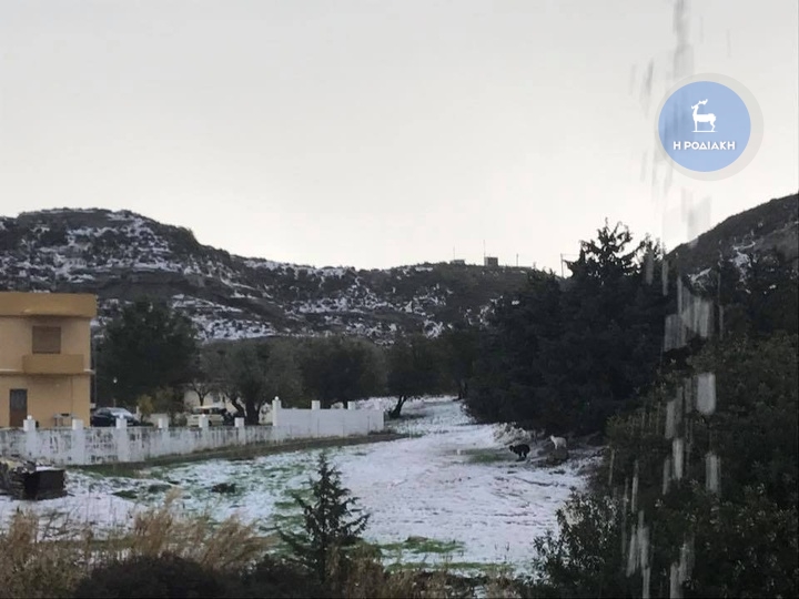Φωτογραφία Μοσχούλα Δικισσίδη