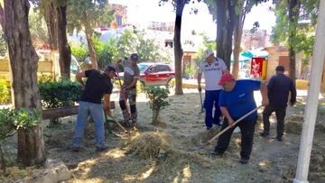 Καθαρισμός και αισθητικές παρεμβάσεις στο αστικό πράσινο της Ρόδου (φωτορεπορτάζ)