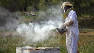 Από μελισσοκομική δραστηριότητα ξεκίνησε η χθεσινή φωτιά στη Ρόδο