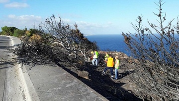 Καθαρισμός της πλαγιάς του Μόντε Σμιθ από την Περιφέρεια Νοτίου Αιγαίου  και την ΕΤΑΙΠΡΟΦΥΚΑ