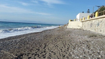 Εθελοντικός καθαρισμός της παραλίας Κρητικών