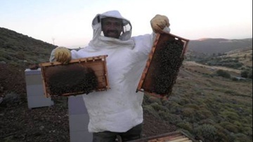 H 1η γιορτή Μελιού στην Αστυπάλαια 