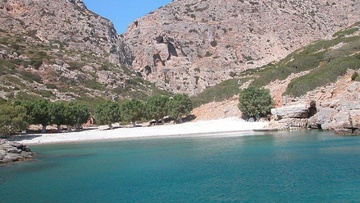 Τα Ιταλικά social media  «ανακαλύπτουν» την ανεπιτήδευτη Σαρία!  