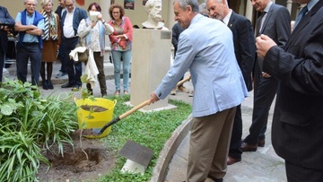 Η Βαρκελώνη φύτευσε δενδρύλλιο απόγονο του πλάτανου του Ιπποκράτη της Κω
