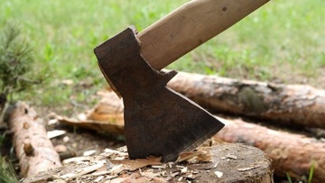 Συνελήφθη 66χρονος ημεδαπός ιρανικής καταγωγής διωκόμενος για παράνομη  υλοτομία