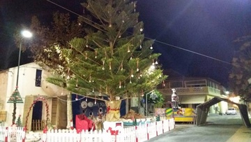 Φωταγώγηση Χριστουγεννιάτικου δέντρου στις Καλυθιές