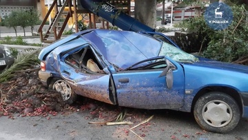 Φοίνικας καταπλάκωσε αυτοκίνητο δικηγόρου στη Ρόδο
