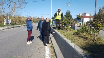 Καλλωπίζεται η νησίδα Τζέρσεϋ, κλαδέματα στο Φαληράκι