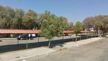 Διαψεύδουν το επεισόδιο με την Φ. Καράμπελα οι τσιγγάνοι