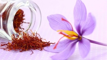 Κρόκος Κοζάνης ή σαφράν:  Το υπερπολύτιμο μπαχαρικό με τις ανεκτίμητες ιδιότητες