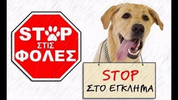 Τι γίνεται με τις φόλες;