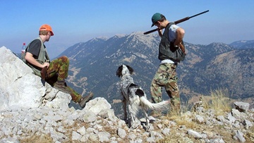 Εκγύμναση κυνηγετικών σκύλων στη Ρόδο μόνο σε ειδικές ζώνες