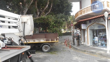 Συνεχίζεται το κλάδεμα δένδρων σε όλη την πόλη