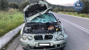 Σφοδρή σύγκρουση ι.χ. με... γάιδαρο στη Ρόδο 