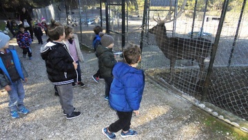 Ο «Τόνι το πλατώνι» πήρε το βραβείο  Νηπιαγωγείου στην κατηγορία «Τραγούδι»! 