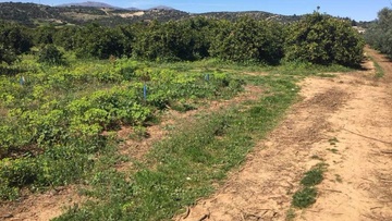 Επιβάλλεται η ψήφιση ενός νέου ν. 719/77