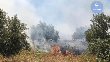 Φωτιά ξέσπασε πριν από λίγο σε περιοχή του Παραδεισίου (φωτορεπορτάζ)