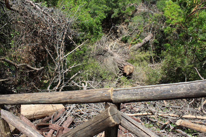 Παρατημένα κλαδιά και σπασμένα δέντρα, σε σημεία από τα οποία θα περάσουν χιλιάδες έλληνες και ξένοι επισκέπτες.