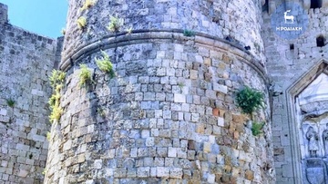 Με πρασινάδες τα τείχη της Παλιάς Πόλης στη Ρόδο